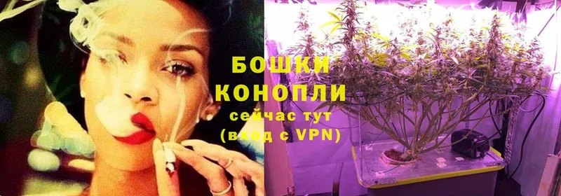 Шишки марихуана SATIVA & INDICA  где продают наркотики  Мензелинск 